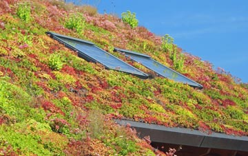 Barking Dagenham living roof systems