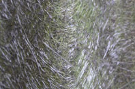 Barking Dagenham fibreglass roof work